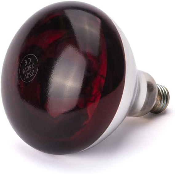 HENDI Infrarotlampe, für Wärmelampen und Wärmebrücken, zum Warmhalten von Speisen, Bruchsicher, E27