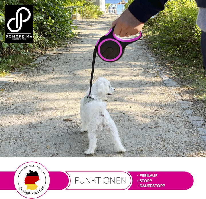 DOMOPRIMA Flexible Hundeleine 5 Meter, 3 Grössen (S,M,L), 4 Farben (grau, blau, grün, pink) - Rollle