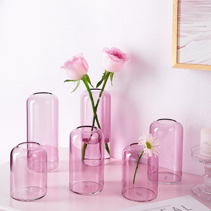 ZENS Knospenvasen 6er Set Rosa Klar Kleine Glasvase für Blumen Moderne mundgeblasene Zylinderglasvas