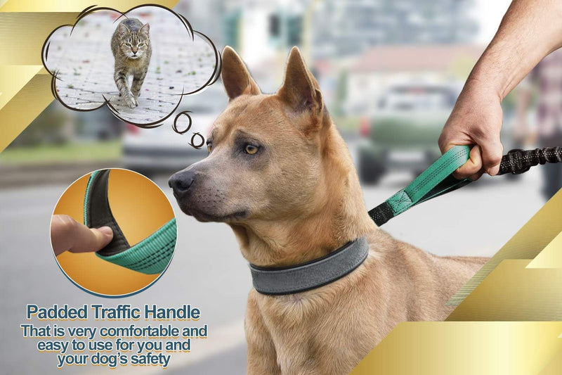 Joggingleine für Hunde zum Laufen, Joggen, Wandern | 2 in 1 Joggingleine und Normale Hundeleine für