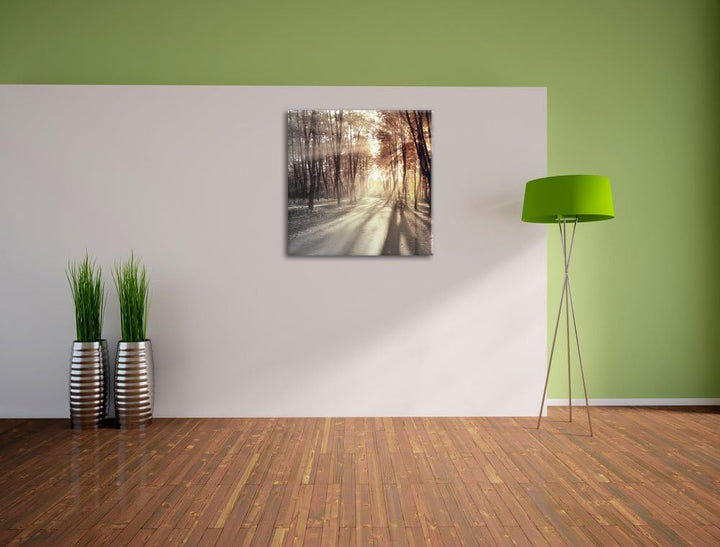 Pixxprint Allee im Herbstlicht schwarz/weiss, Format: 70x70 auf Leinwand, 70x70