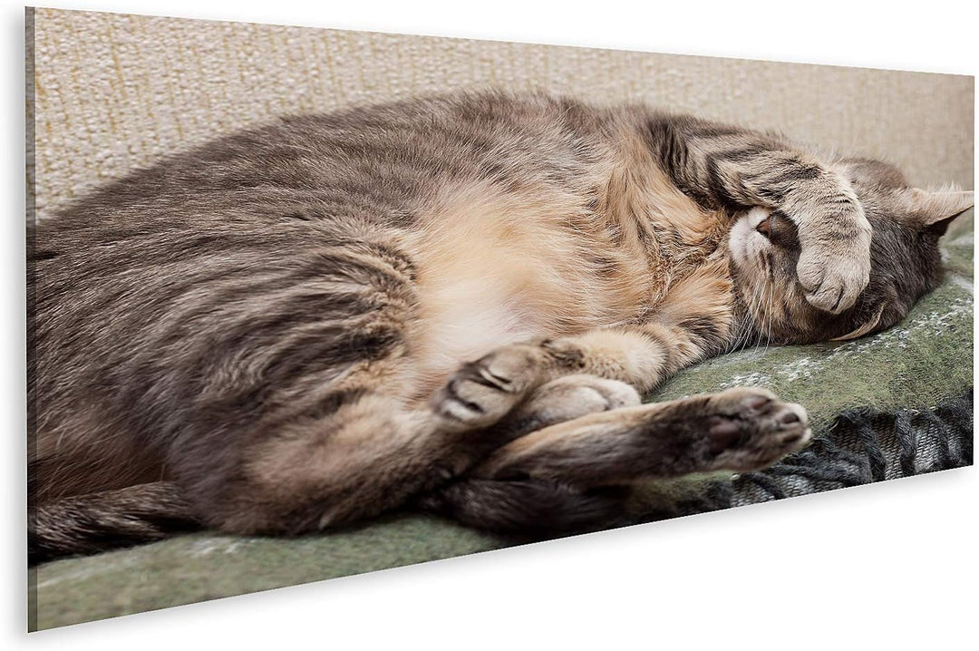 islandburner Bild auf Leinwand Schlafende Katze Bilder Wandbilder Poster Leinwand 120x40cm - Panoram