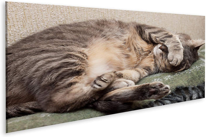 islandburner Bild auf Leinwand Schlafende Katze Bilder Wandbilder Poster Leinwand 120x40cm - Panoram