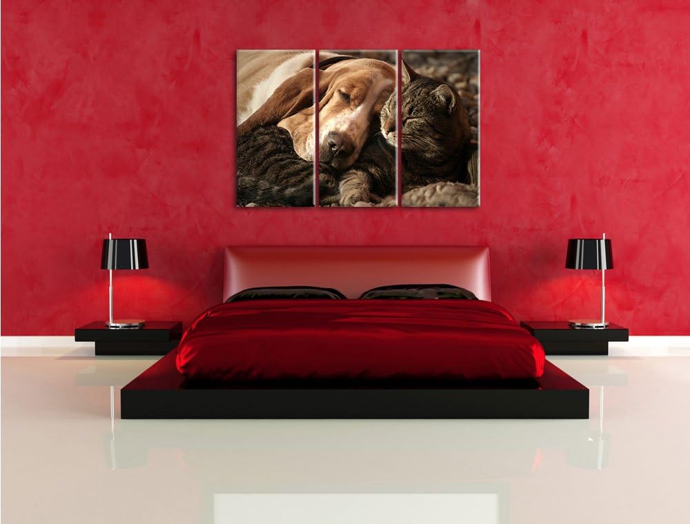 Pixxprint Katze und Hund kuschelnd als Leinwandbild/Grösse: 3 Teilig (120x80) / Wandbild/Kunstdruck/