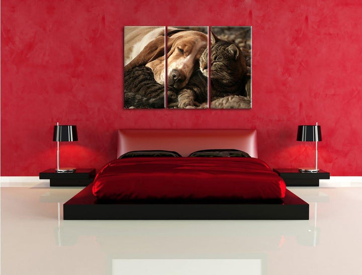 Pixxprint Katze und Hund kuschelnd als Leinwandbild/Grösse: 3 Teilig (120x80) / Wandbild/Kunstdruck/