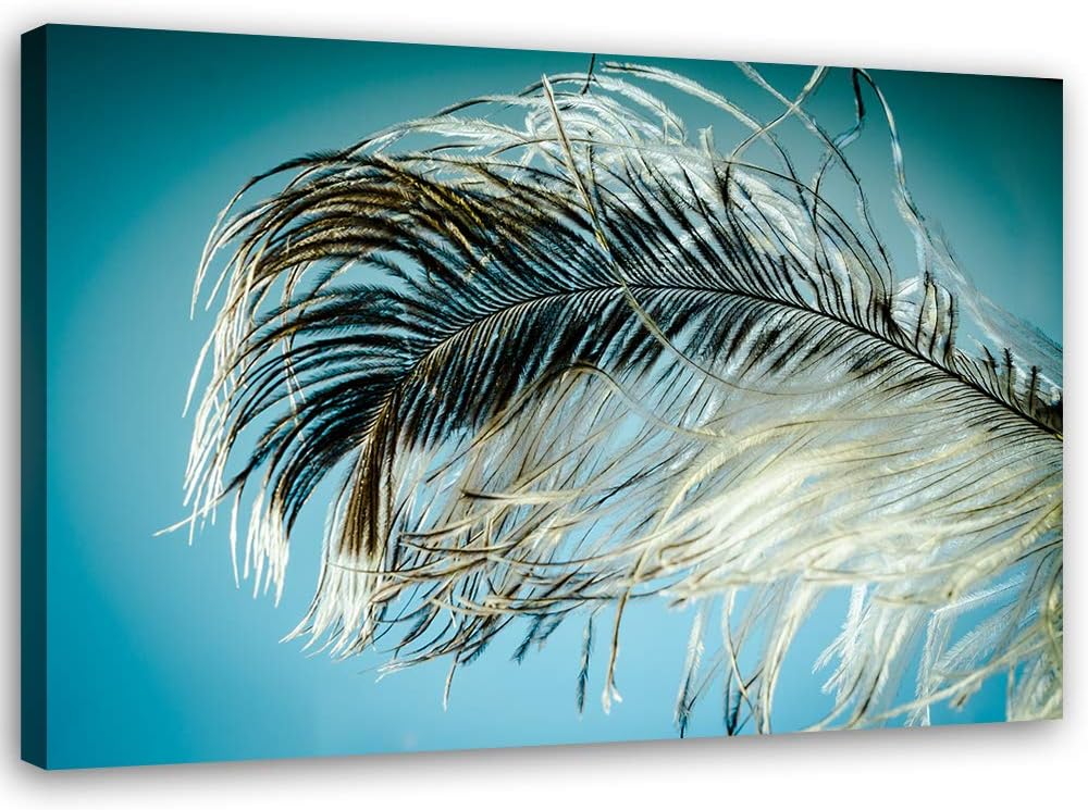 Wanddeko Feder Leinwandbild Kunstdruck abstrakt Blau 100x70 cm M14243 100x70 cm, M14243 100x70 cm