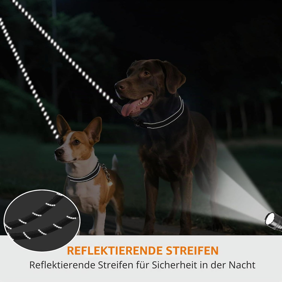 Taglory Doppelte Leinen/Hundeleine Doppelleine für 2 Hunde/Keine Verwicklung Reflektierend Kletterse