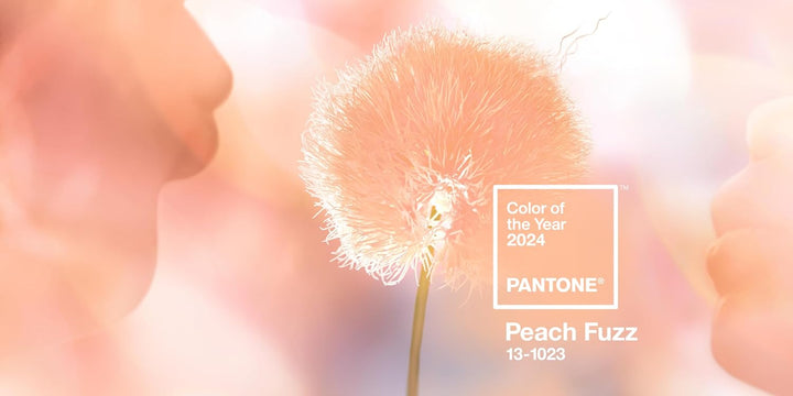 Pantone Limitierte Ausgabe: Formula Guide Color of the Year 2024