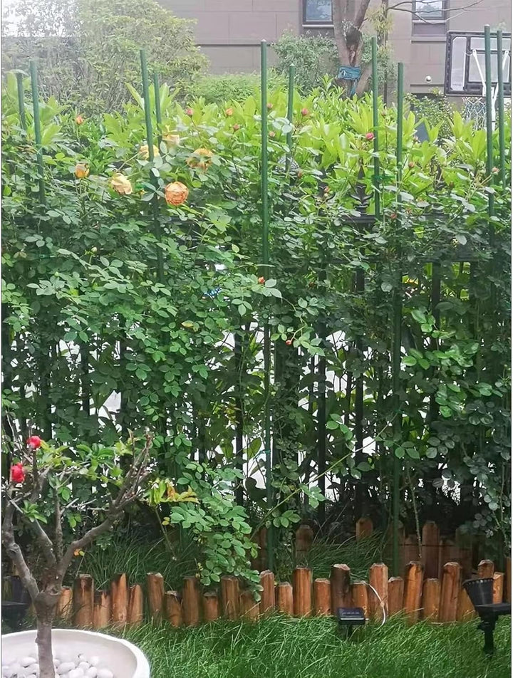 G-LEAF Pflanzenstütze, 25 Stück Pflanzenstab,Blumenstütze Zimmerpflanzen,Pflanzenhalter,rankhilfe zi