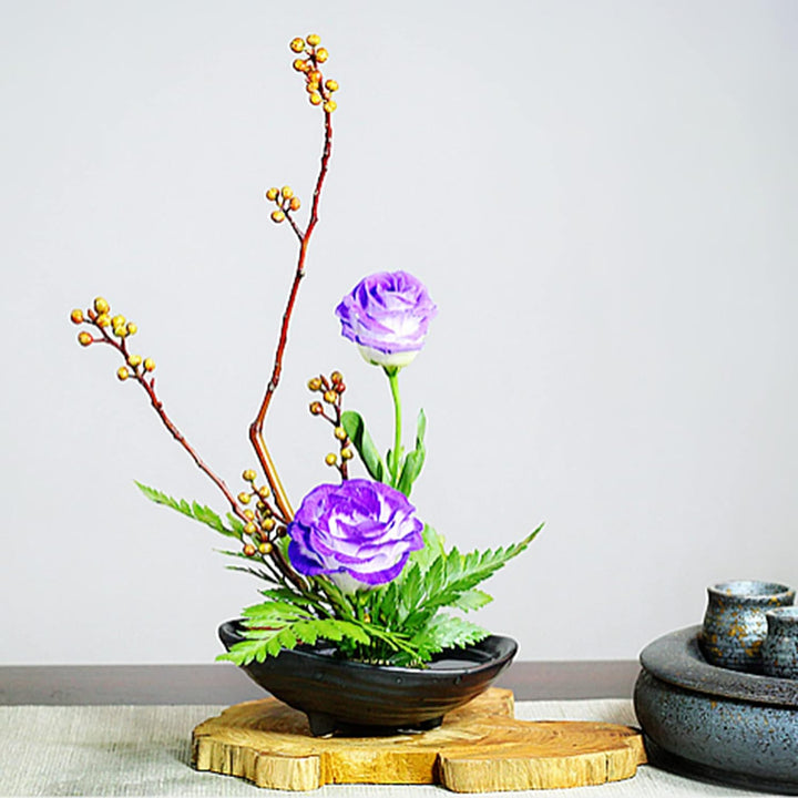 CRAFFANCY Blumentopf, unregelmässiger Mini-Blumentopf aus Keramik mit 4,6 cm grosser Frosch und weis