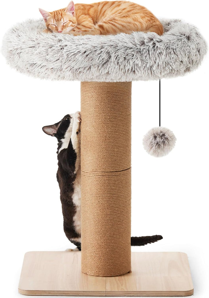 FUKUMARU Kratzbaum für Katzen – 71 cm hoher Kratzturm mit Katzenliege für Erwachsene Katzen im Innen