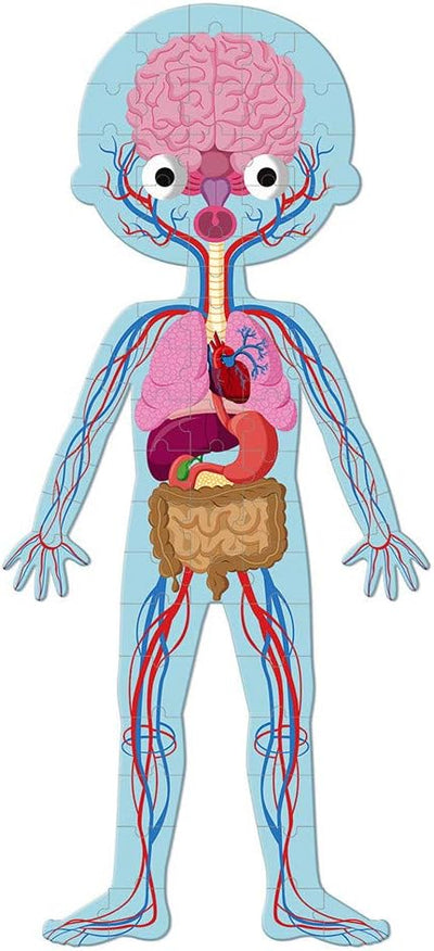 Janod - Riesenpuzzle 4er Set zum Entdecken des Menschlichen Körpers - Lernpuzzles - 50, 75, 100 Teil