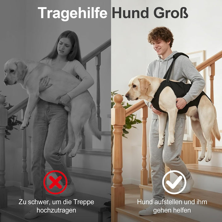 Tragehilfe Hund Gross mit Griffen Verstellbares Hundehebegeschirre, L | Treppenhilfe Hinterbeine Vor