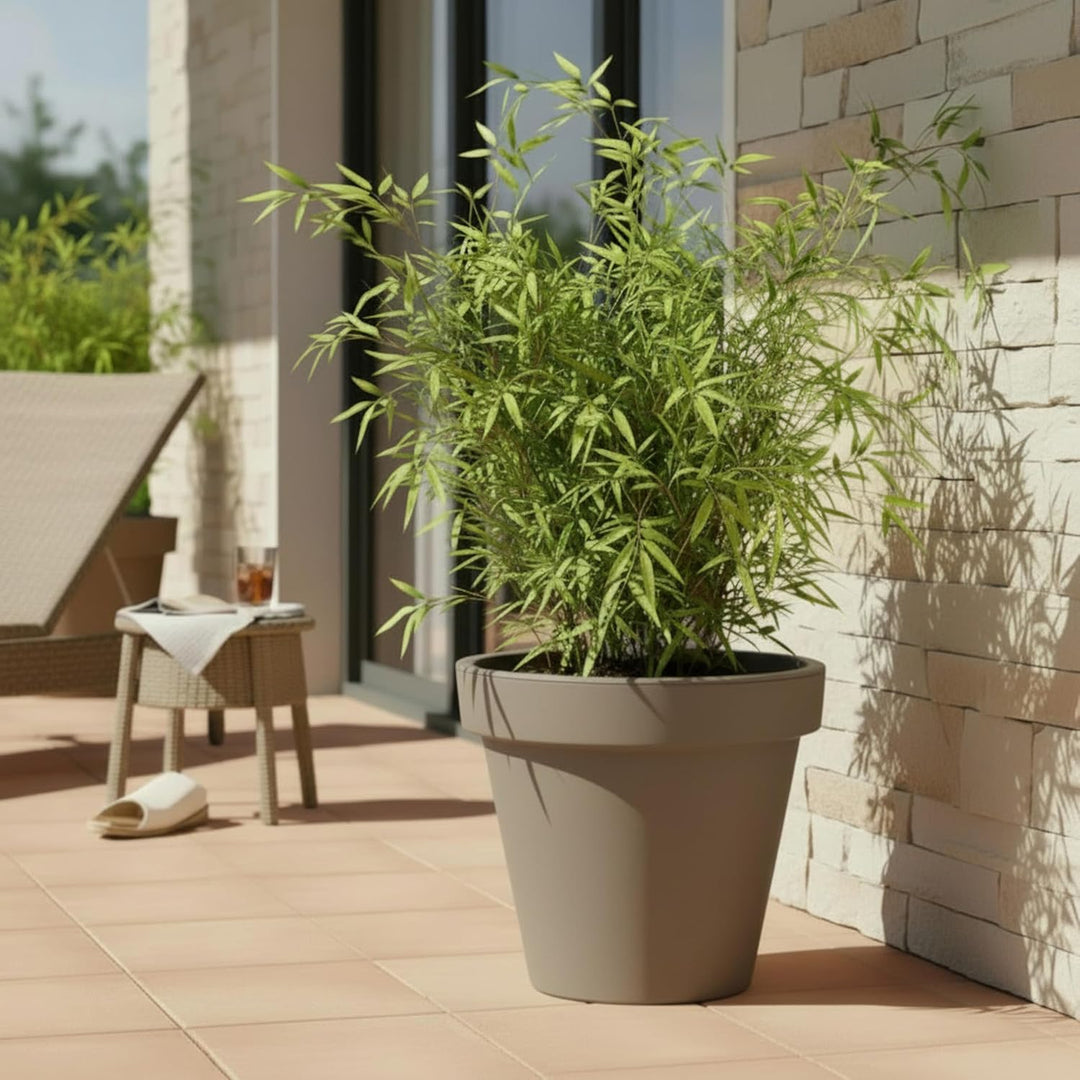 Spetebo Kunststoff Pflanzkübel L rund Ø 48 cm - beige - Blumenkübel gross für Aussen und Innen - Gar