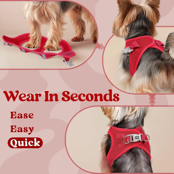 rabbitgoo Hundegeschirr Kleine Hunde, Step-in Weiches Mesh, Rot | Einfach anzulegen, Atmungsaktiv &amp;