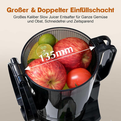 Fretta Slow Juicer Entsafter Gemüse und Obst Testsieger, 250W Edelstahl Saftpresse Elektrisch Obstpr