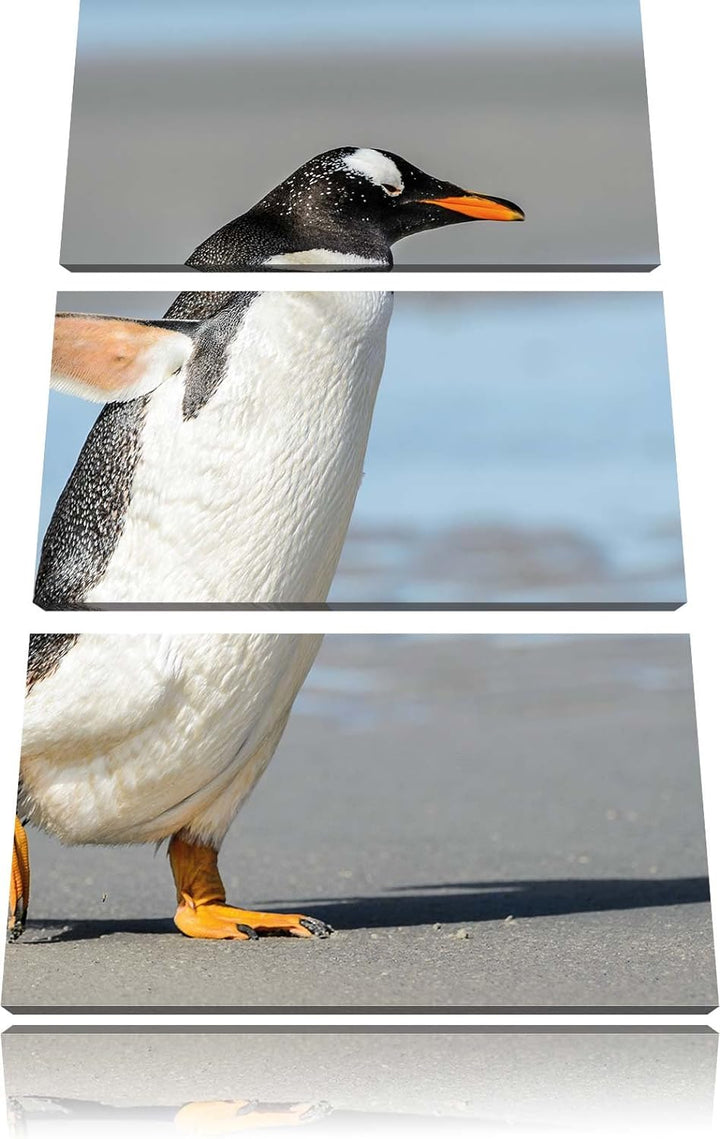 Pinguin am Strand 3-Teiler Leinwandbild 120x80 Bild auf Leinwand