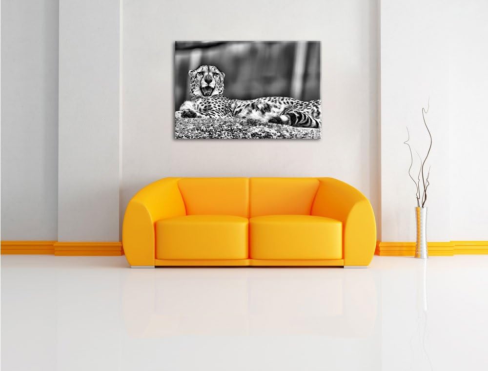 Pixxprint schlafender Gepard / 100x70cm Leinwandbild bespannt auf Holzrahmen/Wandbild Kunstdruck Dek