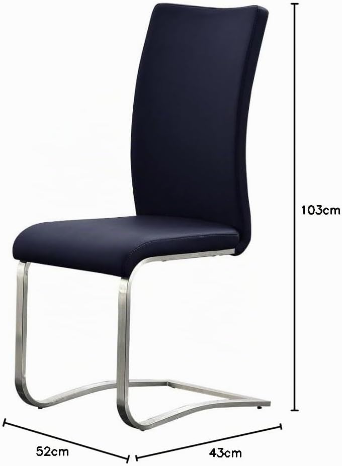 Robas Lund Esszimmerstuhl Leder Blau 2er Set, belastbar bis 130 kg, Schwingstuhl mit Rindsleder, Ges