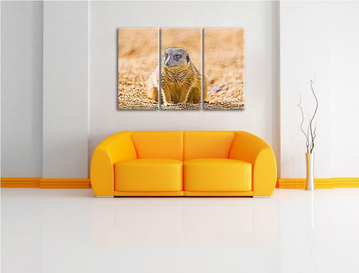 schüchternes Erdmännchen NewArt 3-Teiler Leinwandbild 120x80 Bild auf Leinwand, XXL riesige Bilder f
