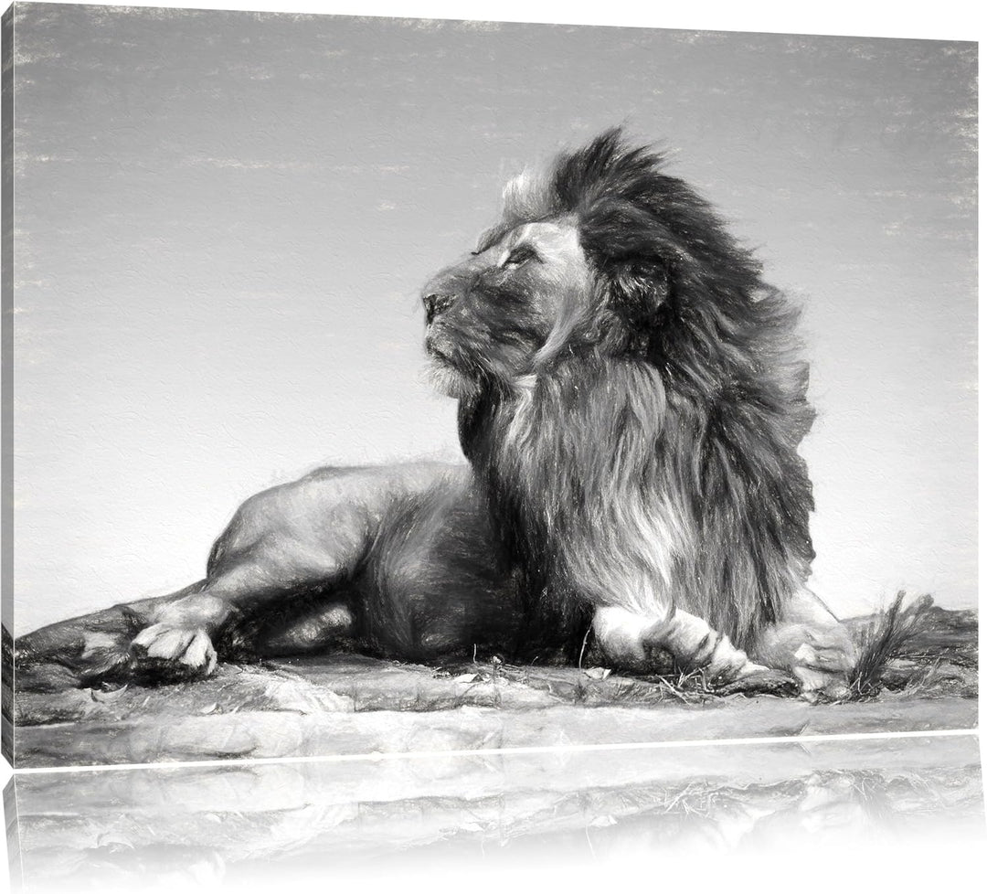 Pixxprint liegender Löwe als Leinwandbild/Grösse: 100x70 / Wandbild/Kunstdruck/fertig bespannt, 100x