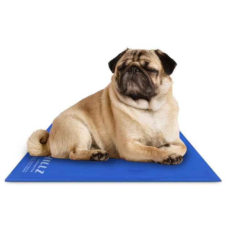 Umarmungen Pet Products chillz Pad Komfort Cooling Gel Pet Pad mittel blau, mittel blau