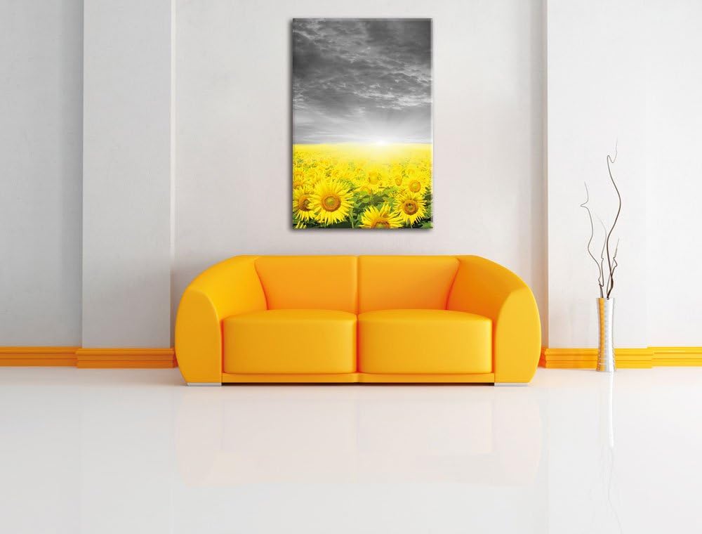 Pixxprint Sonnenblumenfeld bei Sonnenuntergang als Leinwandbild/Grösse: 100x70 / Wandbild/Kunstdruck