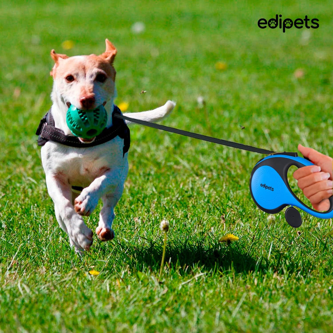 Edipets, Hundeleine, Ausziehbar und Einziehbar, 5 m, 8 m, Flexibel, für Training und Spaziergänge, f