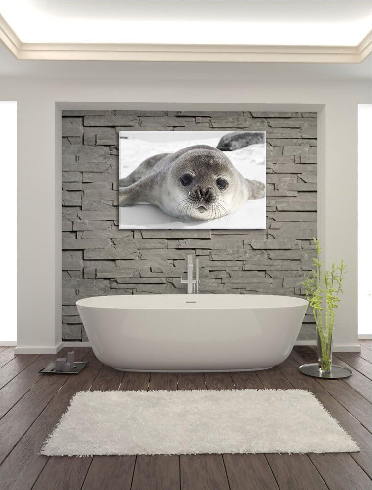 süsses Robben Baby schwarz/weiss Format: 100x70 auf Leinwand, XXL riesige Bilder fertig gerahmt mit