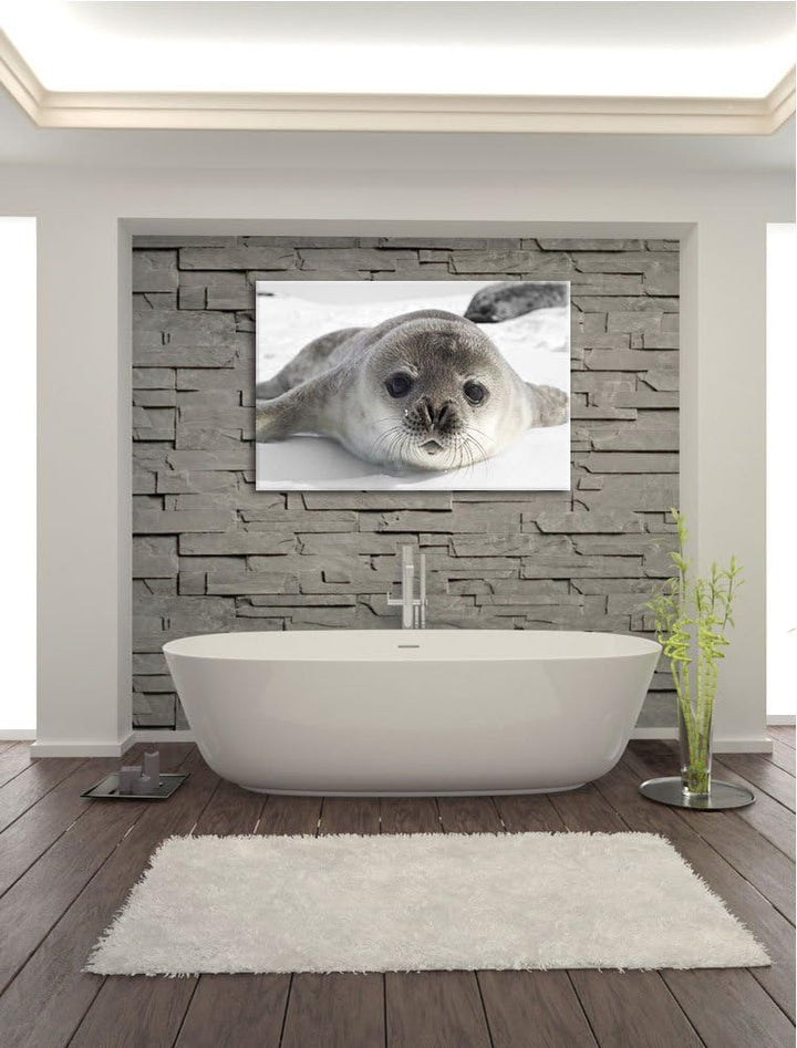 süsses Robben Baby schwarz/weiss Format: 100x70 auf Leinwand, XXL riesige Bilder fertig gerahmt mit
