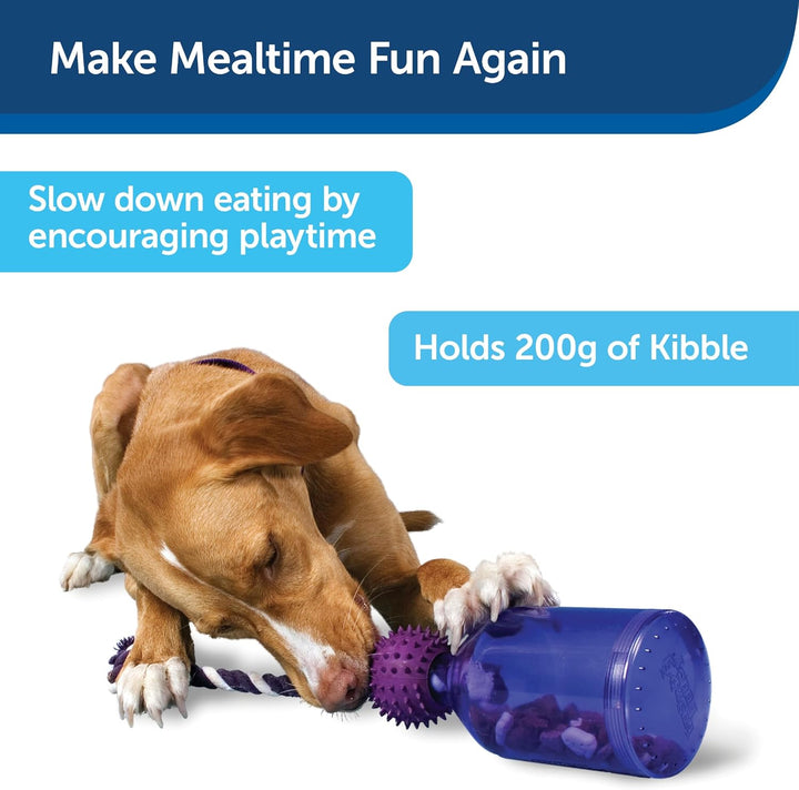 PetSafe Busy Buddy Tug-a-Jug Hundespielzeug, Snackspender mit Seil, Beschäftigung und Gewichtskontro