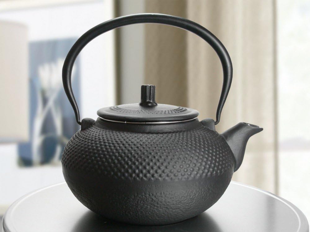 HiT Teekanne Guss 1,5L Asia Japan Style Teesieb Tee Kanne, Schwarz