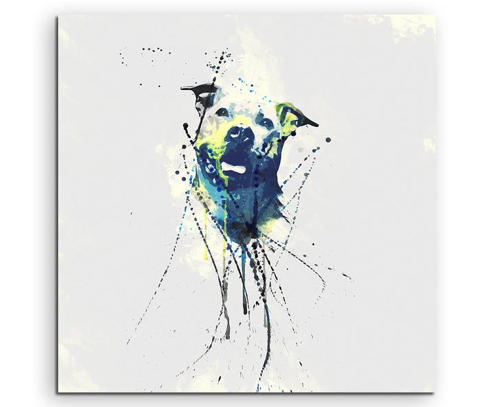 Paul Sinus Art Pitbull 60x60cm Keilrahmenbild Kunstbild Aquarell Art Wandbild auf Leinwand fertig ge
