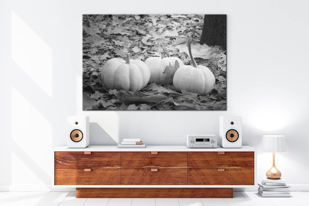 deyoli Herbstliche Kürbise Effekt: Schwarz&Weiss Format: 120x80 als Leinwandbild, Motiv fertig gerah