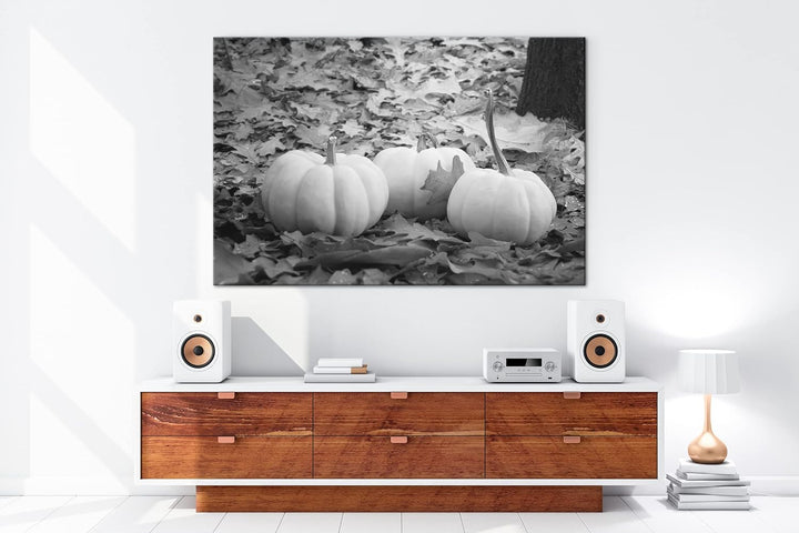 deyoli Herbstliche Kürbise Effekt: Schwarz&Weiss Format: 80x60 als Leinwandbild, Motiv fertig gerahm