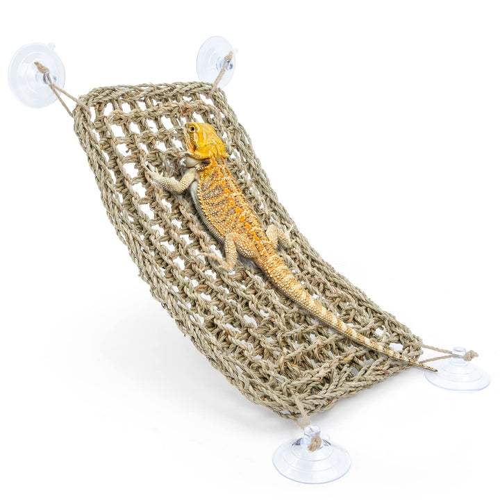 Niteangel Hängematte für Bartagamen: Liegeplatz für Chamäleons, Eidechsen, Geckos, Schlangen, Leguan