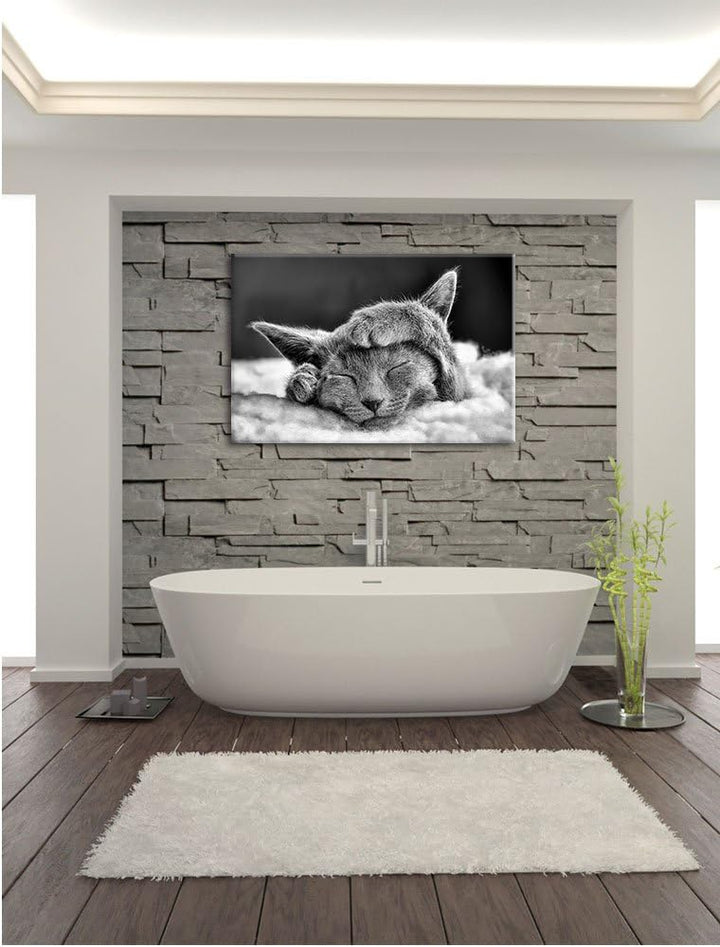 Monocrome, Süsses Kätzchen, Format: 100x70 auf Leinwand, XXL riesige Bilder fertig gerahmt mit Keilr