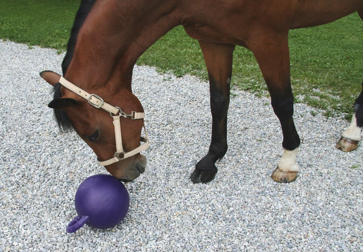 Kerbl 32389 Pferdespielball, lila mit Minzaroma Violett Minzgeschmack, Violett Minzgeschmack