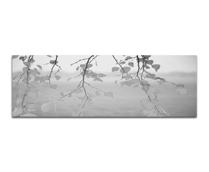Paul Sinus Art Leinwandfoto als Panorama SCHWARZ/Weiss 150x50cm Blätter Äste Herbst