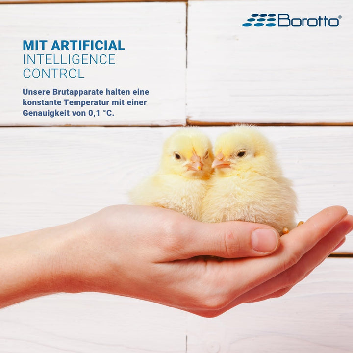 Borotto Real 24 Inkubator, Vollautomatische Ei Wendung für 24 Eier oder 96 kleine Eier, mit Luftbefe
