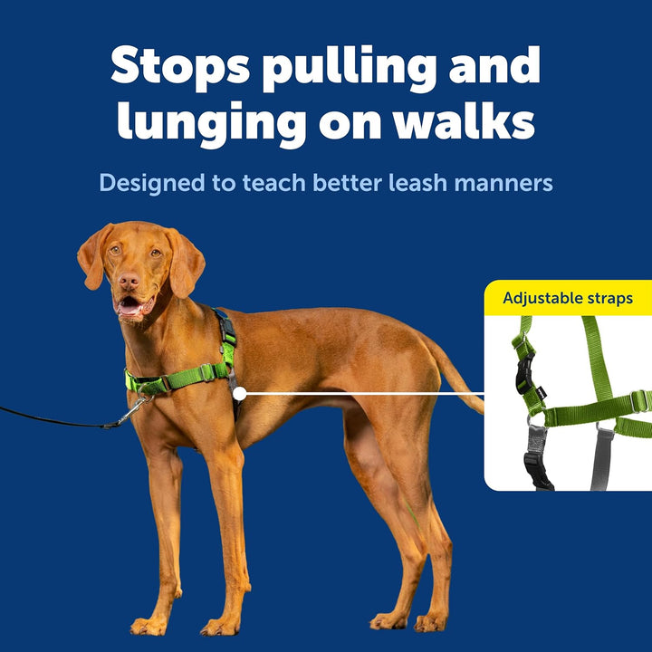PetSafe Easy Walk Hundegeschirr. Apfelgrün/Grau Medium, Apfelgrün/Grau Medium