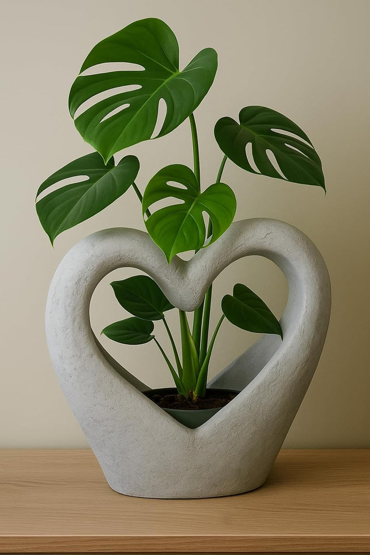 Blumenkübel in Herzform aus Beton Outdoor- oder Indoor-Pflanzgefäss für Terrasse, Garten, Haus