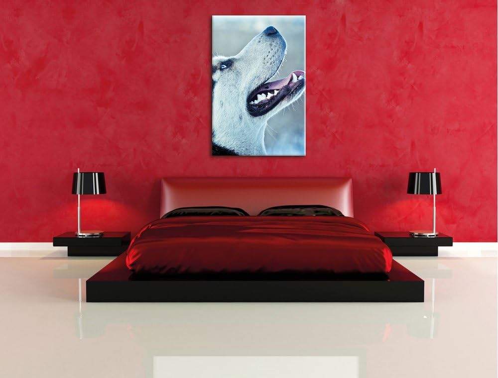 Husky von der Seite, Format: 100x70 auf Leinwand, XXL riesige Bilder fertig gerahmt mit Keilrahmen,