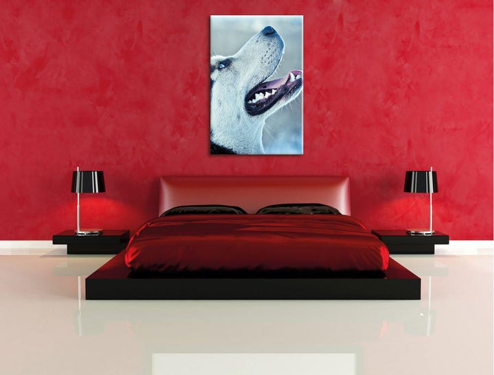 Husky von der Seite, Format: 100x70 auf Leinwand, XXL riesige Bilder fertig gerahmt mit Keilrahmen,