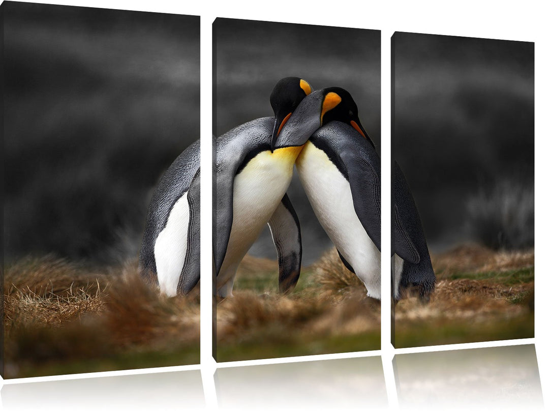 Pinguine in der Antarktis / 3-Teilig/Gesamtmass 120cm Leinwandbild bespannt auf Holzrahmen/Wandbild