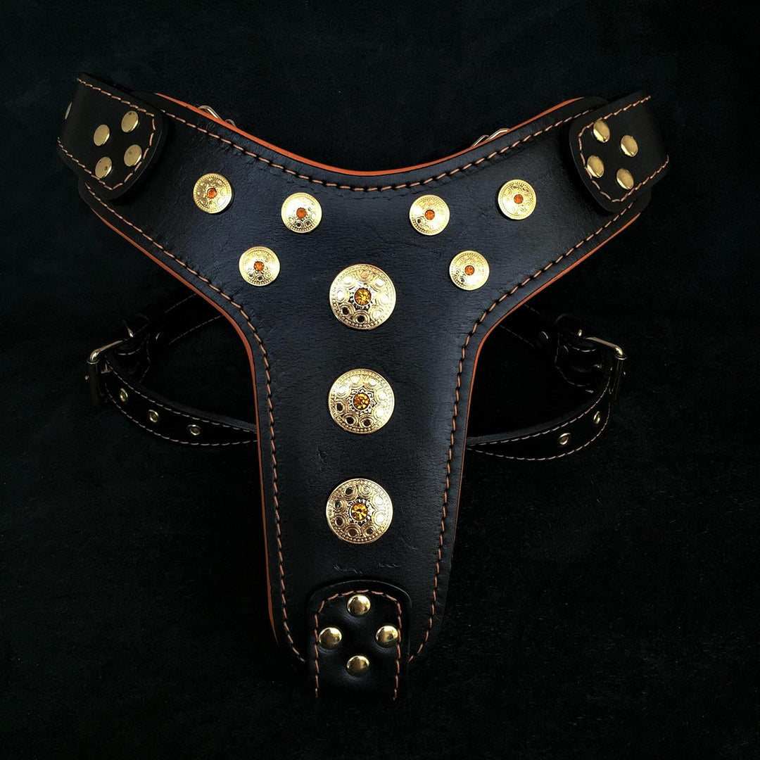 Bestia Bijou Hundegeschirr aus echtem Leder mit Nieten für mittelgrosse bis grosse Rassen 95 -145 cm