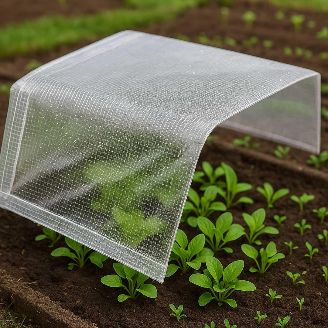 WERKAPRO 11356 Abdeckplane transparent 2 x 3 m 80g/m² PE UV-behandelt 5 m x 7 m, 5 m x 7 m
