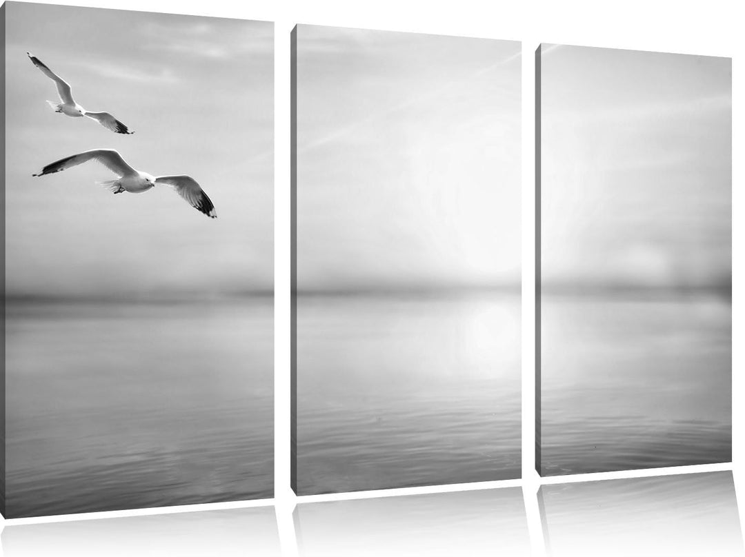 Pixxprint Möwen am Meer bei Sonnenaufgang als Leinwandbild/Grösse: 3 Teilig (120x80) cm/Wandbild/Kun