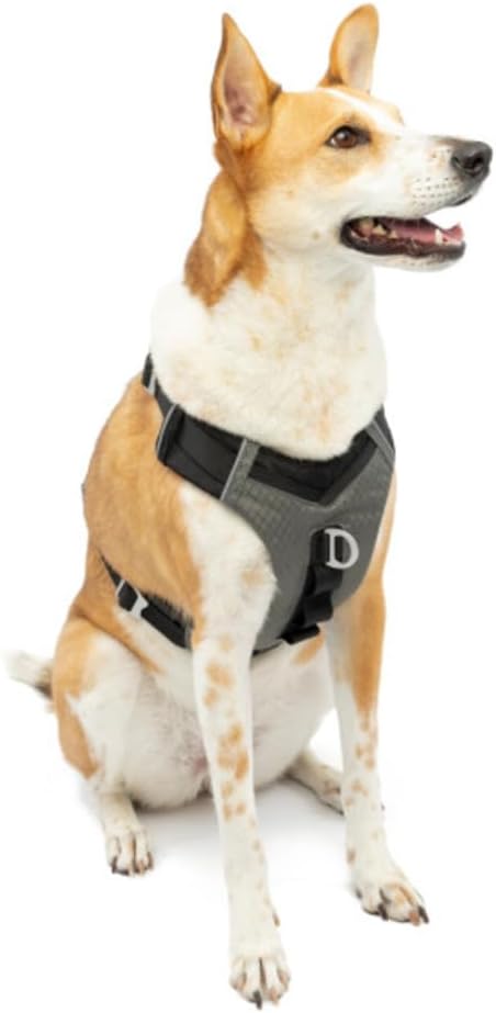 Kurgo Journey Air Hundegeschirr, Mit gepolstertem Brustteil und Rückgriff, Für Hunde von 34-47 kg, G