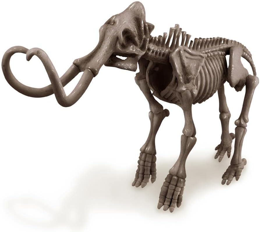 4M Kidz Labs Dig a Mammoth Skeleton